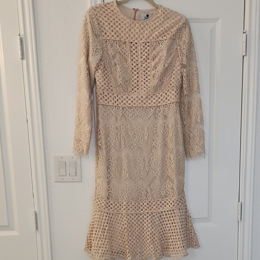 Elegant Peony Lace Dainty Jewells Dress